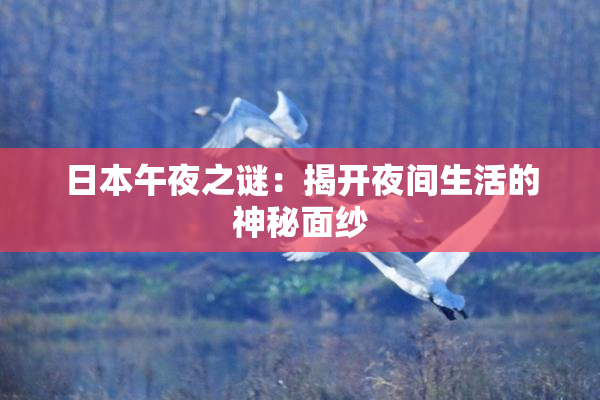 日本午夜之谜：揭开夜间生活的神秘面纱