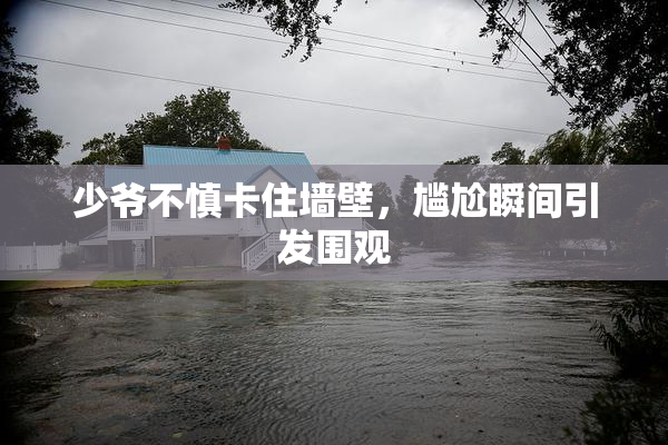 少爷不慎卡住墙壁，尴尬瞬间引发围观