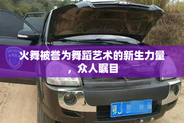 火舞被誉为舞蹈艺术的新生力量，众人瞩目