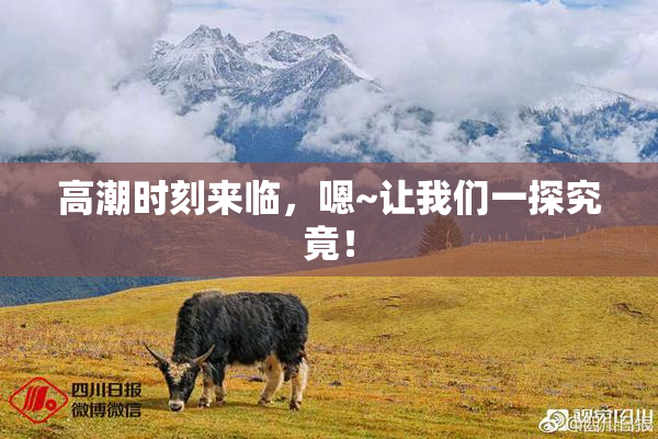 高潮时刻来临，嗯~让我们一探究竟！