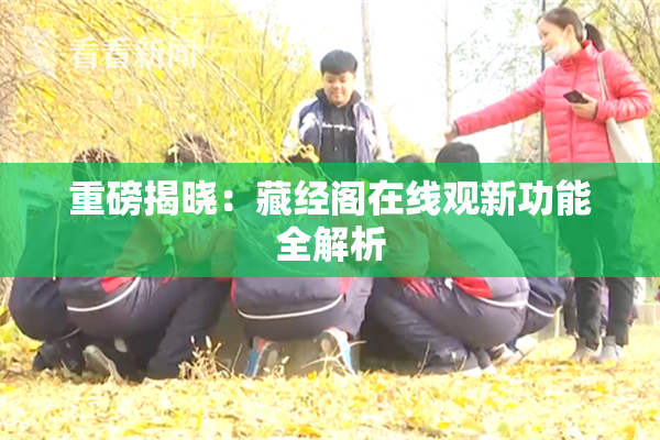 重磅揭晓：藏经阁在线观新功能全解析
