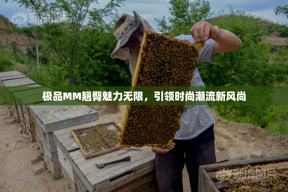 极品MM翘臀魅力无限，引领时尚潮流新风尚