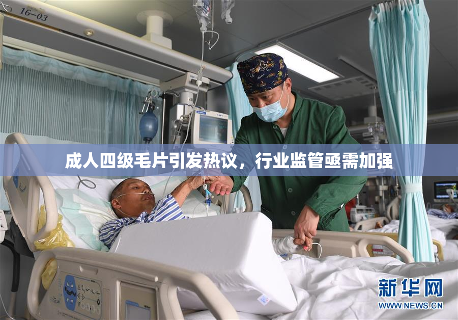 成人四级毛片引发热议，行业监管亟需加强