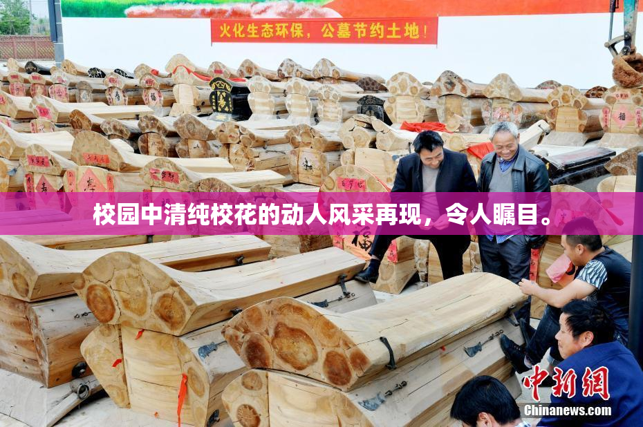 校园中清纯校花的动人风采再现，令人瞩目。