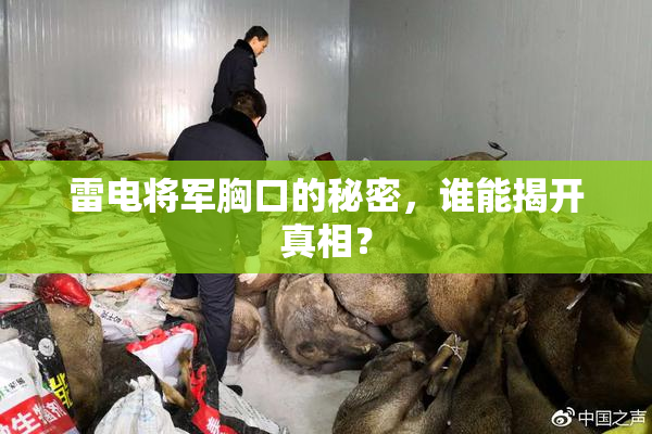 雷电将军胸口的秘密，谁能揭开真相？