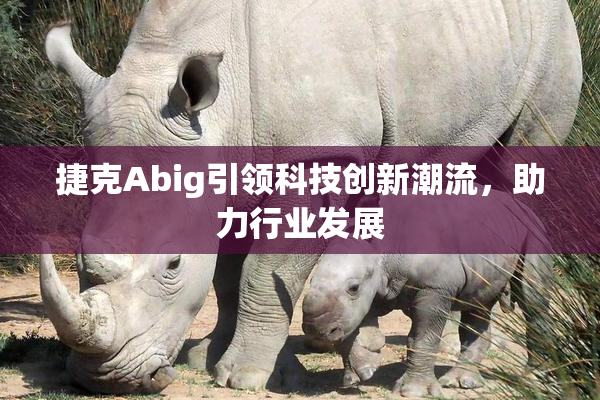 捷克Abig引领科技创新潮流，助力行业发展