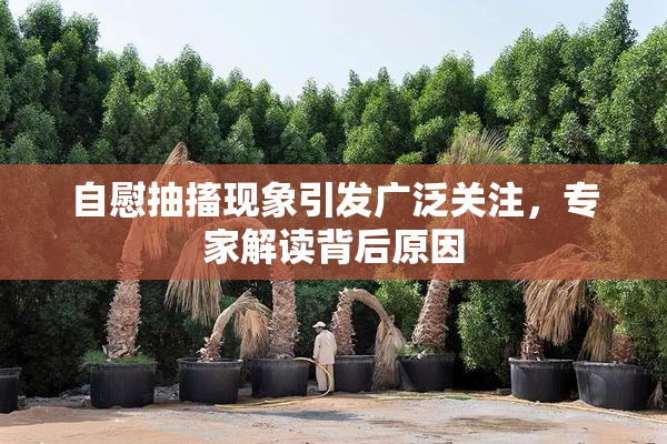 自慰抽搐现象引发广泛关注，专家解读背后原因