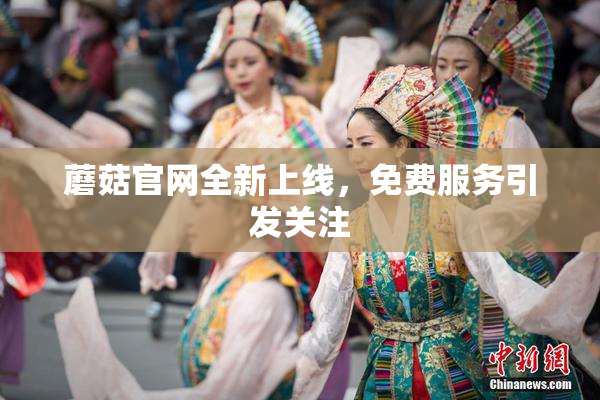 蘑菇官网全新上线，免费服务引发关注