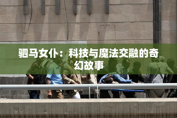 驷马女仆：科技与魔法交融的奇幻故事
