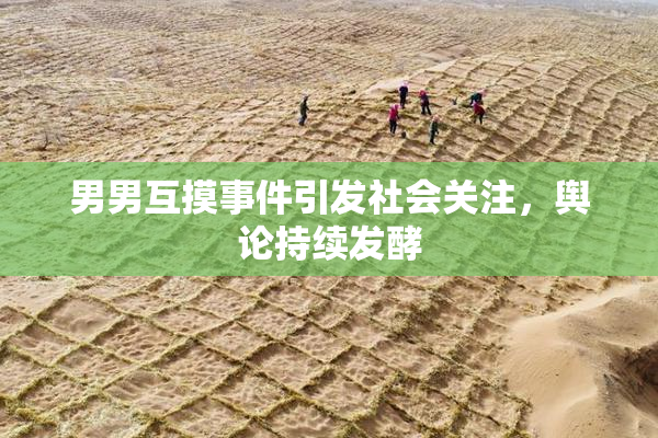男男互摸事件引发社会关注，舆论持续发酵
