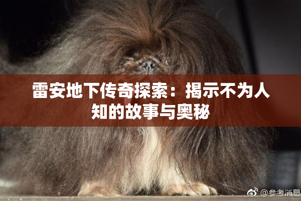 雷安地下传奇探索：揭示不为人知的故事与奥秘