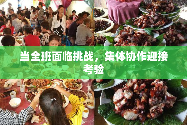 当全班面临挑战，集体协作迎接考验