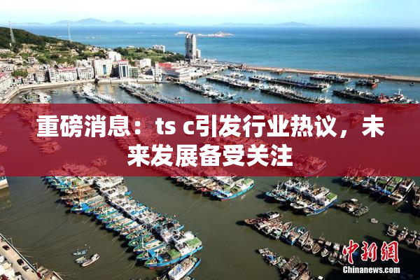 重磅消息：ts c引发行业热议，未来发展备受关注