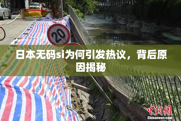 日本无码si为何引发热议，背后原因揭秘