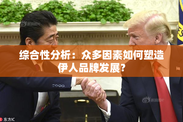 综合性分析：众多因素如何塑造伊人品牌发展？