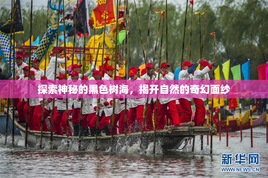 探索神秘的黑色树海，揭开自然的奇幻面纱