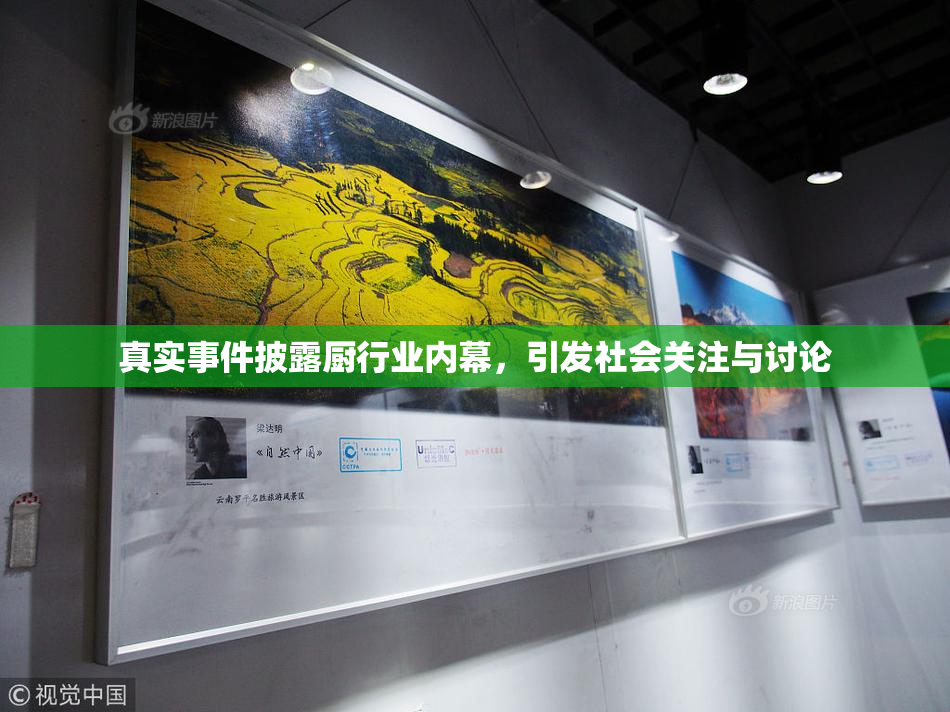 真实事件披露厨行业内幕，引发社会关注与讨论