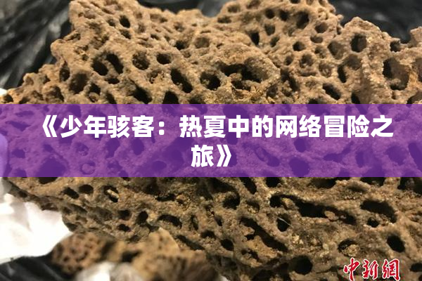 《少年骇客：热夏中的网络冒险之旅》