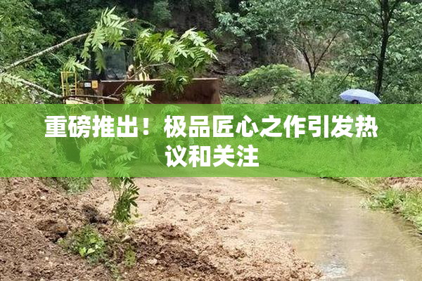 重磅推出！极品匠心之作引发热议和关注