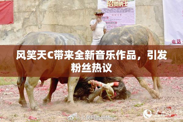 风笑天C带来全新音乐作品，引发粉丝热议