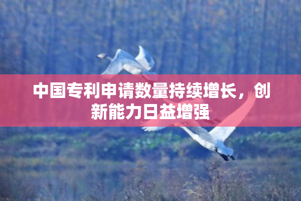 中国专利申请数量持续增长，创新能力日益增强