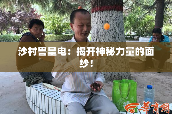 沙村兽皇电：揭开神秘力量的面纱！