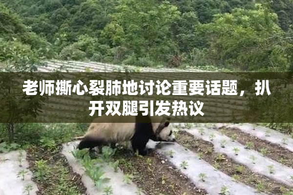 老师撕心裂肺地讨论重要话题，扒开双腿引发热议