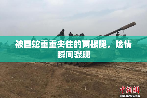 被巨蛇重重夹住的两根腿，险情瞬间骤现