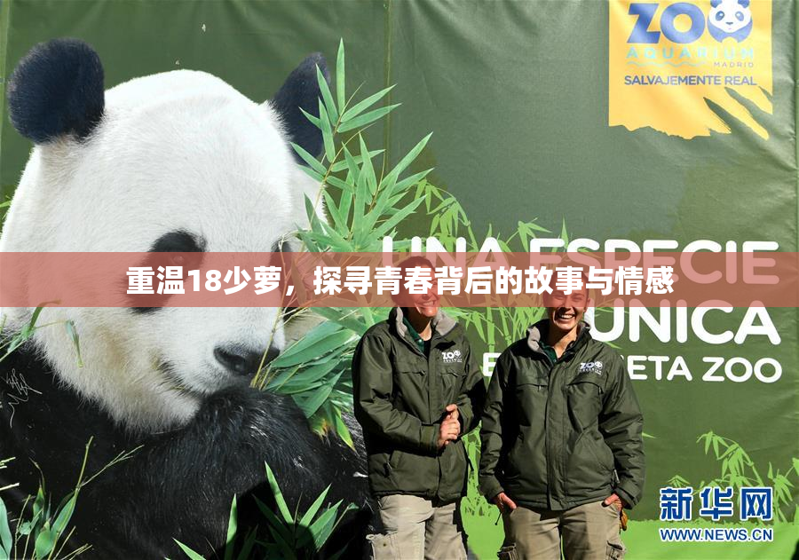 重温18少萝，探寻青春背后的故事与情感