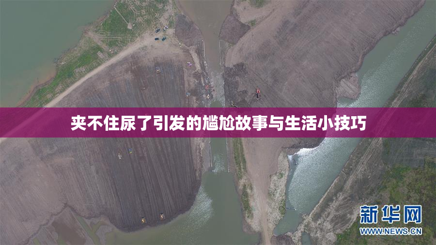 夹不住尿了引发的尴尬故事与生活小技巧