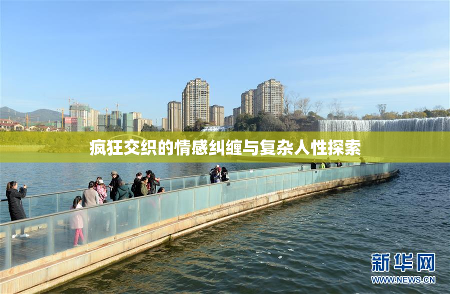疯狂交织的情感纠缠与复杂人性探索
