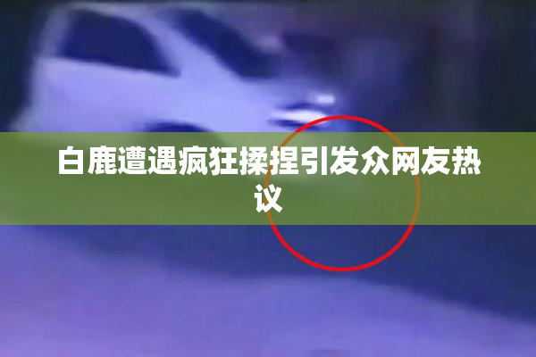 白鹿遭遇疯狂揉捏引发众网友热议