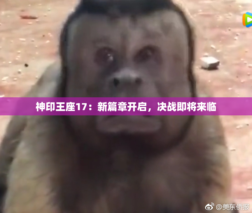 神印王座17：新篇章开启，决战即将来临