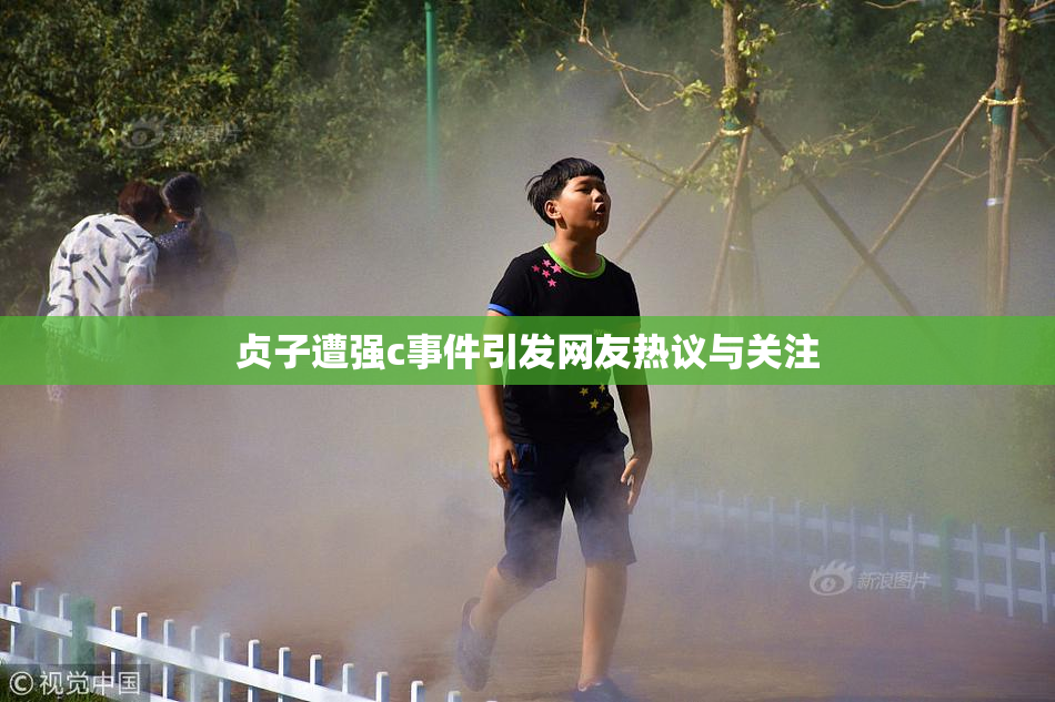 贞子遭强c事件引发网友热议与关注