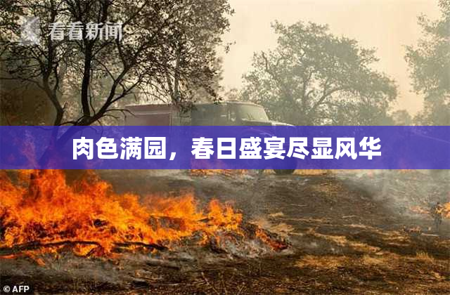 肉色满园，春日盛宴尽显风华