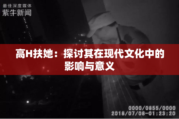 高H扶她：探讨其在现代文化中的影响与意义