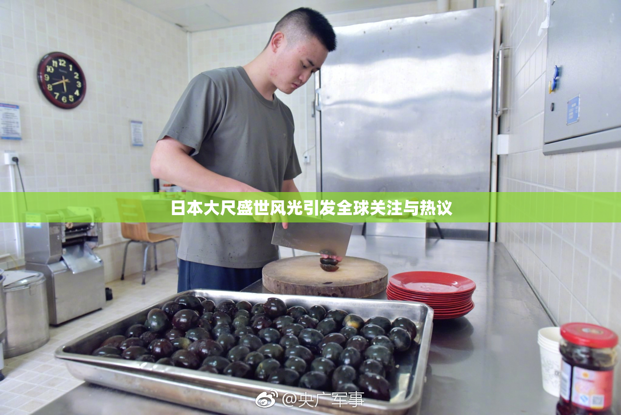 日本大尺盛世风光引发全球关注与热议