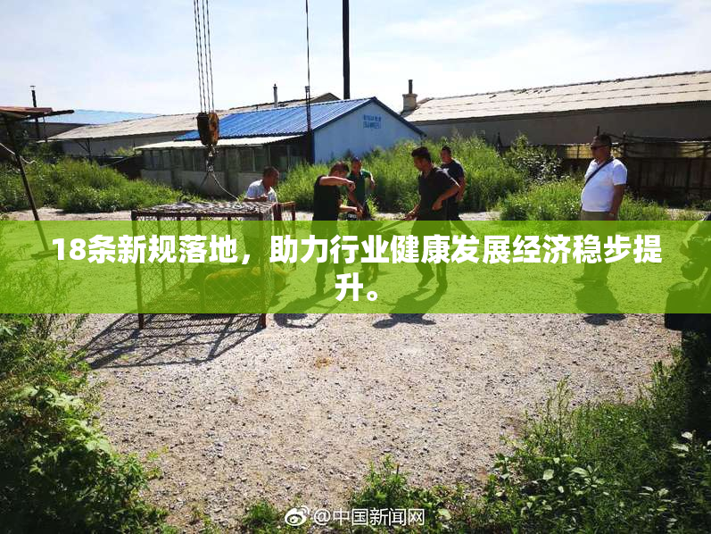 18条新规落地，助力行业健康发展经济稳步提升。