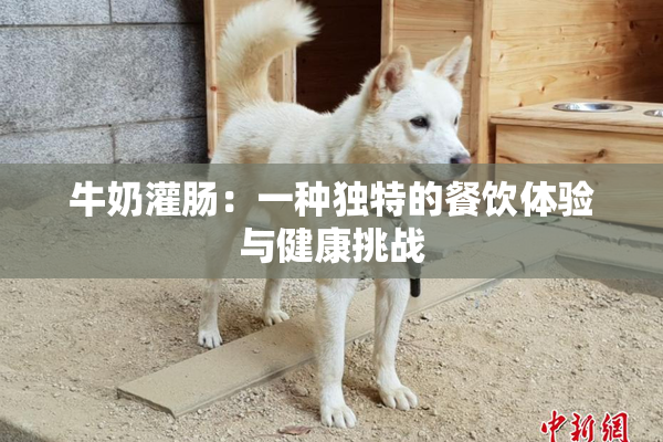 牛奶灌肠：一种独特的餐饮体验与健康挑战