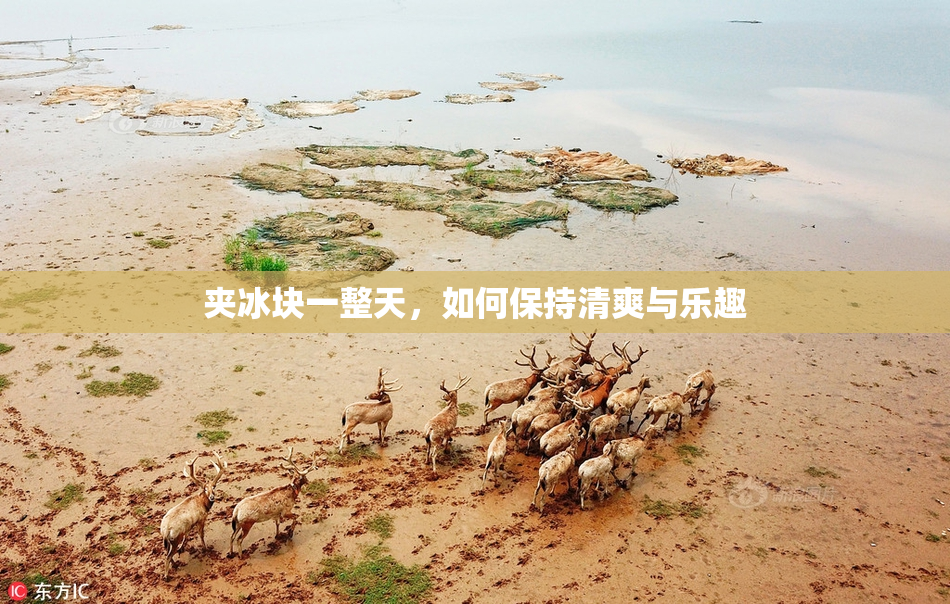 夹冰块一整天，如何保持清爽与乐趣