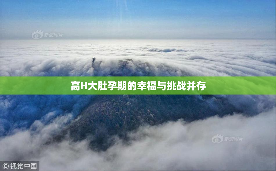 高H大肚孕期的幸福与挑战并存