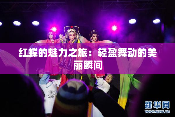 红蝶的魅力之旅：轻盈舞动的美丽瞬间