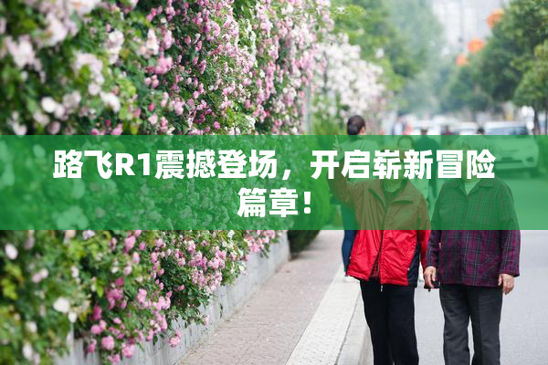路飞R1震撼登场，开启崭新冒险篇章！