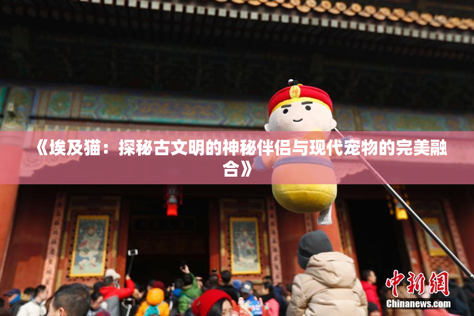 《埃及猫：探秘古文明的神秘伴侣与现代宠物的完美融合》
