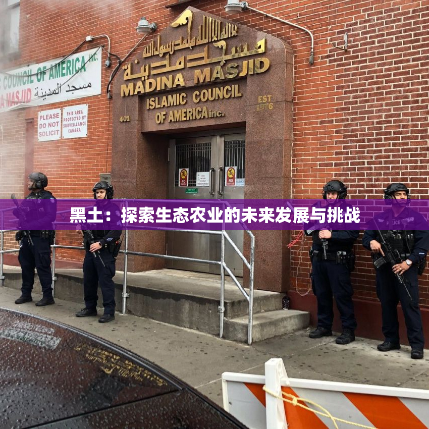 黑土：探索生态农业的未来发展与挑战