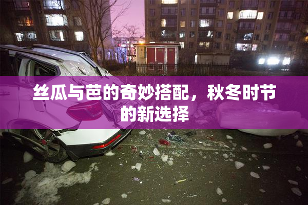 丝瓜与芭的奇妙搭配，秋冬时节的新选择