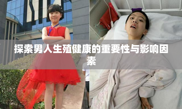 探索男人生殖健康的重要性与影响因素
