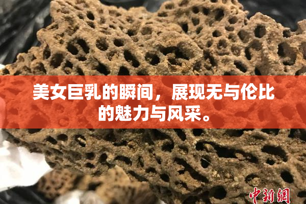 美女巨乳的瞬间，展现无与伦比的魅力与风采。