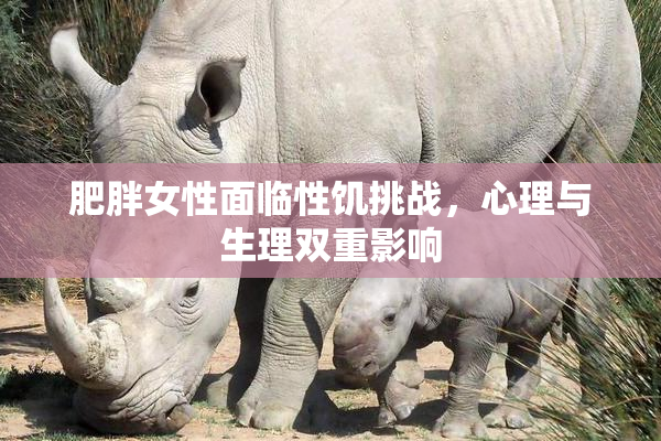 肥胖女性面临性饥挑战，心理与生理双重影响