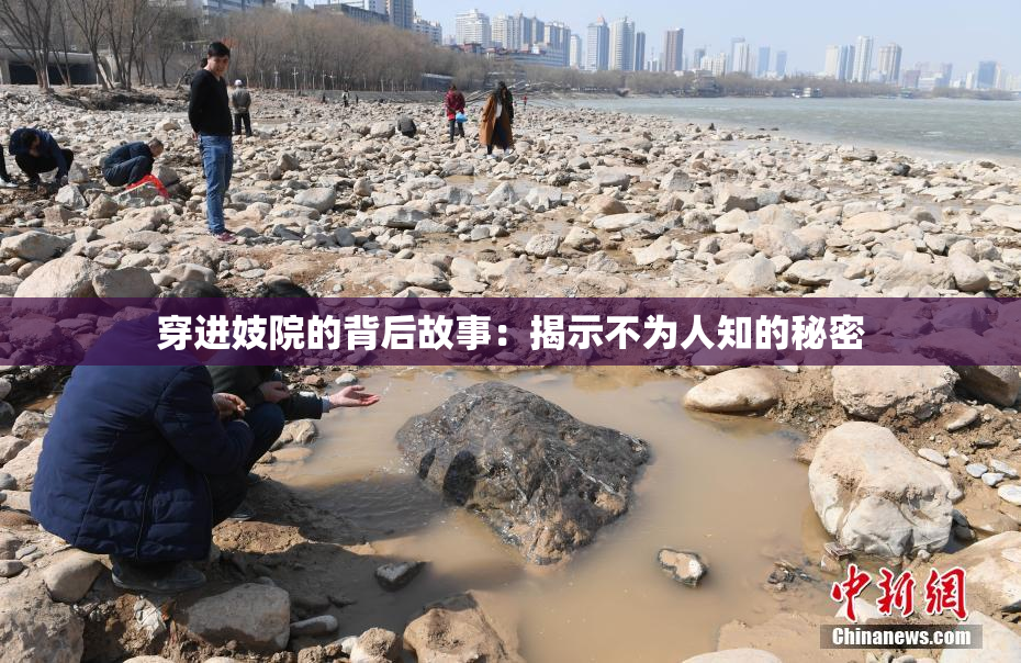 穿进妓院的背后故事：揭示不为人知的秘密